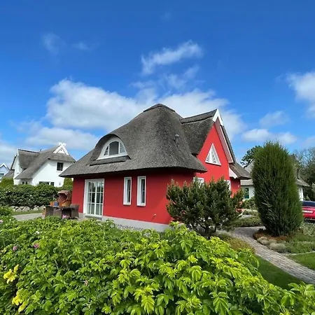 5 Strandlaeufer * Glowe