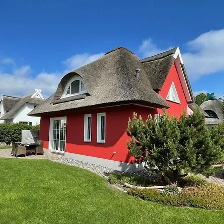 5 Strandlaeufer