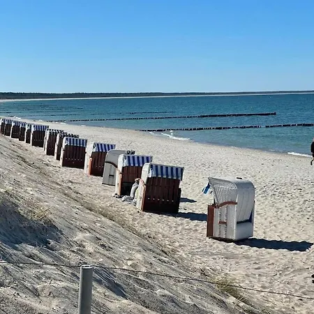 5 Strandlaeufer * Glowe