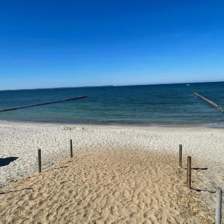 5 Strandlaeufer